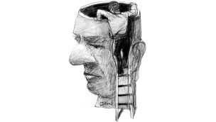 150226_revisando_cerebro_temes_g