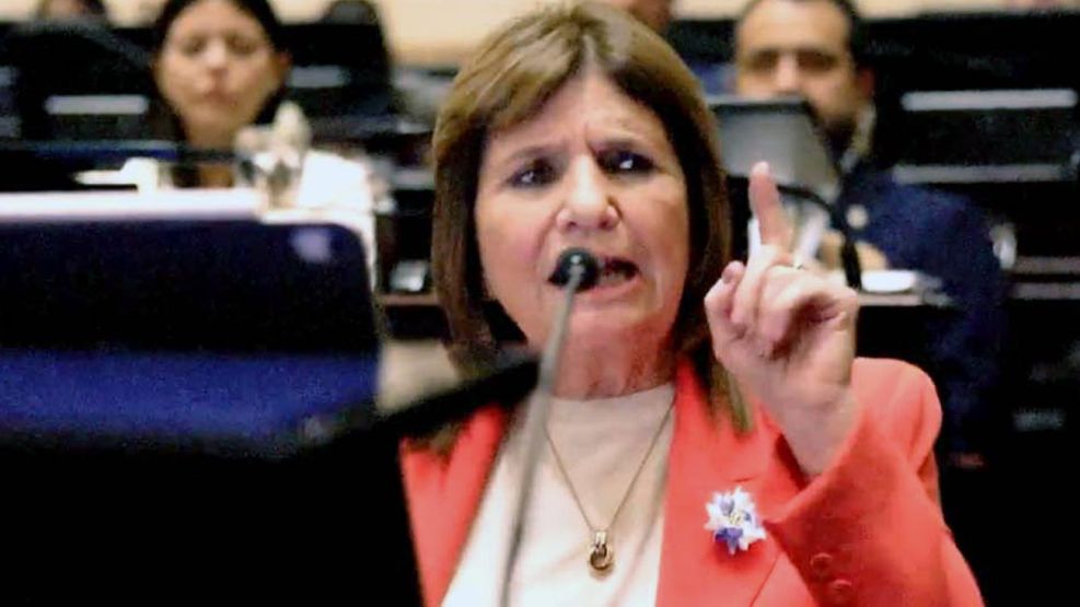 150226_patricia_bullrich_senado_capturapantalla_g