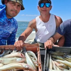 Ubicada a poco más de 20 kilómetros de Trenque Lauquen, Hinojo Grande se consolida como una de las mejores alternativas para la temporada del pejerrey.