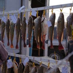 Con el impulso de esta edición, el club ya proyecta el gran objetivo: la 50ª edición en 2027, un hito que buscará consolidar al certamen entre los más convocantes de la provincia de Buenos Aires.