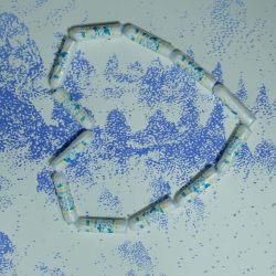 Horóscopo de la semana. 