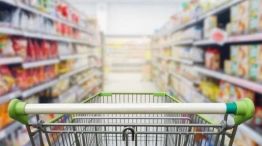 Changuito federal 16022026