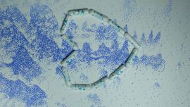 Horóscopo de la semana: Mercurio acelera y cada signo necesita ordenarse