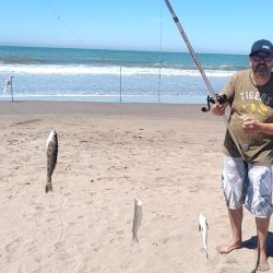 La franja costera que va desde Mar de Cobo hasta Mar Chiquita siempre fue una catarata de opciones de pesca y lo sucedido hace varios días no sólo lo confirma, sino que además redobla la apuesta. 