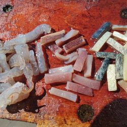 La franja costera que va desde Mar de Cobo hasta Mar Chiquita siempre fue una catarata de opciones de pesca y lo sucedido hace varios días no sólo lo confirma, sino que además redobla la apuesta. 