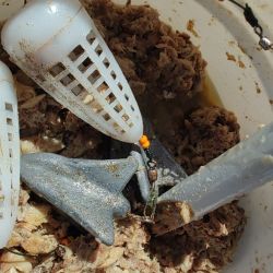 La franja costera que va desde Mar de Cobo hasta Mar Chiquita siempre fue una catarata de opciones de pesca y lo sucedido hace varios días no sólo lo confirma, sino que además redobla la apuesta. 