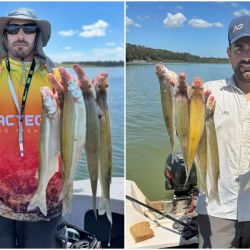 La jornada marcó una actividad altísima tanto en cantidad como en calidad. Utilizando anzuelos Nº 1 y Nº 2, seleccionando las piezas, es posible completar la cuota en media jornada con ejemplares que oscilaron entre los 250 y los 600 gramos.