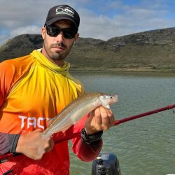 La jornada marcó una actividad altísima tanto en cantidad como en calidad. Utilizando anzuelos Nº 1 y Nº 2, seleccionando las piezas, es posible completar la cuota en media jornada con ejemplares que oscilaron entre los 250 y los 600 gramos.