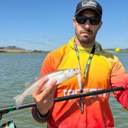 La jornada marcó una actividad altísima tanto en cantidad como en calidad. Utilizando anzuelos Nº 1 y Nº 2, seleccionando las piezas, es posible completar la cuota en media jornada con ejemplares que oscilaron entre los 250 y los 600 gramos.