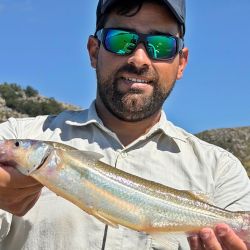 La jornada marcó una actividad altísima tanto en cantidad como en calidad. Utilizando anzuelos Nº 1 y Nº 2, seleccionando las piezas, es posible completar la cuota en media jornada con ejemplares que oscilaron entre los 250 y los 600 gramos.