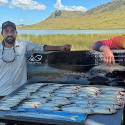 La jornada marcó una actividad altísima tanto en cantidad como en calidad. Utilizando anzuelos Nº 1 y Nº 2, seleccionando las piezas, es posible completar la cuota en media jornada con ejemplares que oscilaron entre los 250 y los 600 gramos.