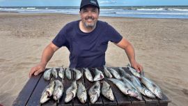 Ni corvinas ni tiburones… burriquetas y pejerreyes