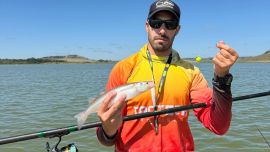 La jornada marcó una actividad altísima tanto en cantidad como en calidad. Utilizando anzuelos Nº 1 y Nº 2, seleccionando las piezas, es posible completar la cuota en media jornada con ejemplares que oscilaron entre los 250 y los 600 gramos.