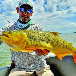 La sana alegría de la pesca, que en días de semana, cuando la presión piscatoria baja, rinde mejor fruto, ya que todo el cauce está más tranquilo.
