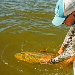 La sana alegría de la pesca, que en días de semana, cuando la presión piscatoria baja, rinde mejor fruto, ya que todo el cauce está más tranquilo.