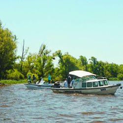 La sana alegría de la pesca, que en días de semana, cuando la presión piscatoria baja, rinde mejor fruto, ya que todo el cauce está más tranquilo.