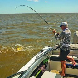 La sana alegría de la pesca, que en días de semana, cuando la presión piscatoria baja, rinde mejor fruto, ya que todo el cauce está más tranquilo.