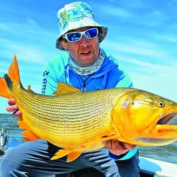 La sana alegría de la pesca, que en días de semana, cuando la presión piscatoria baja, rinde mejor fruto, ya que todo el cauce está más tranquilo.