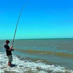 Iñaki, el último campeón metropolitano, con una corvina rubia de casi 3 kg de peso que picó con langostino pelado.