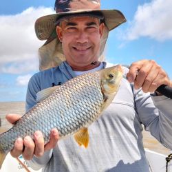 En el Río de la Plata, los malecones de Berisso fueron una fija. El fin de semana dio excelente pesca de boga. Además, se suman doradillos y dorados de hasta 6 kg, hay mucha variada, con blancos, amarillos, armados y una nocturna con chafalotes, cachorros, patíes y bagres.