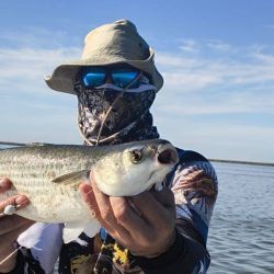 Dentro de la laguna de Mar Chiquita, en tanto, fue buena la pesca de lisas. Entrando desde Juan y Juan, Manuel y Julio Giuliani concretaron excelentes resultados. 