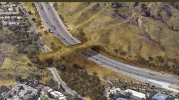 1802_puente animales 