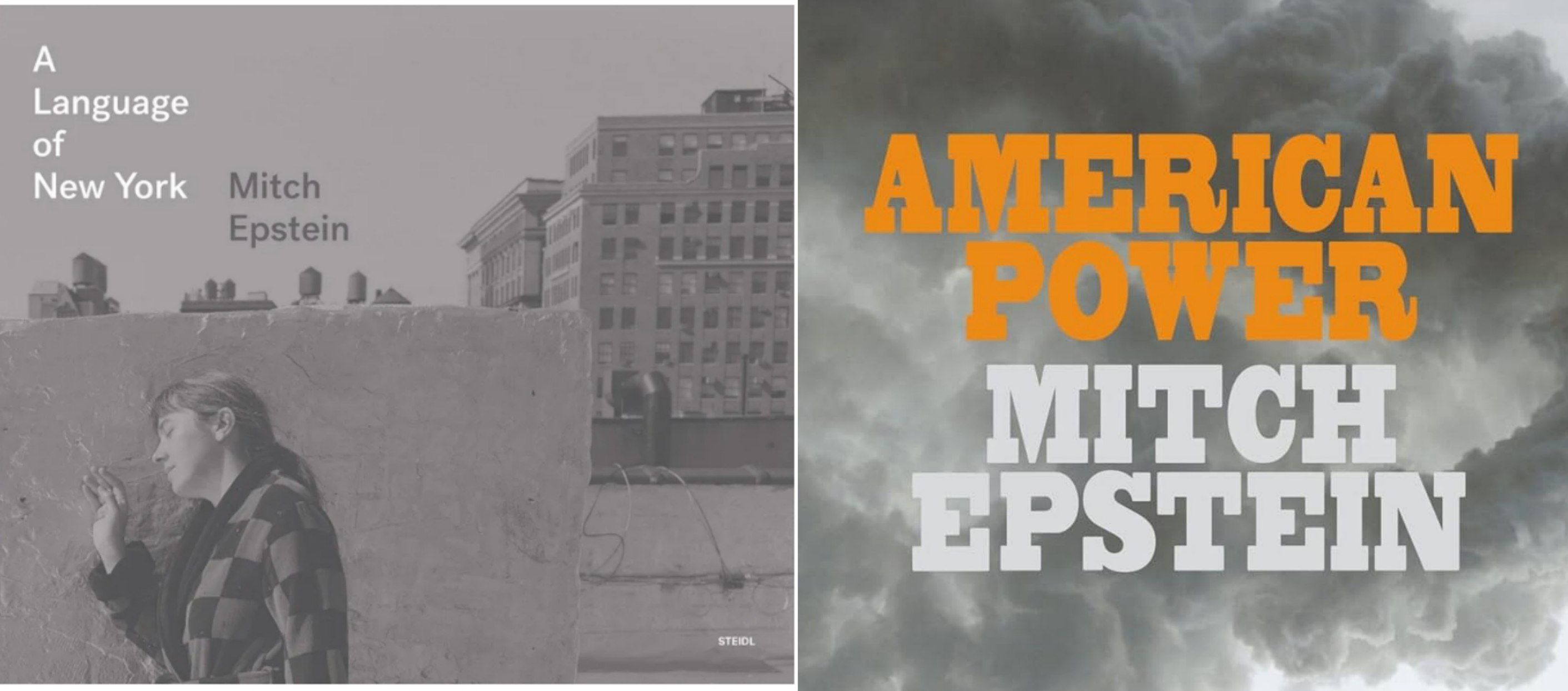 Dos de los libros de fotografías de Mitch Epstein.
