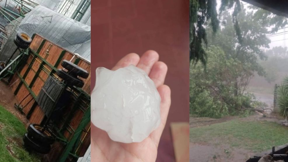 Temporal en el Sur provincial