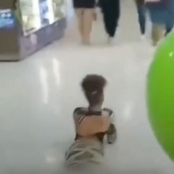 Therian Colombia | Foto:CEDOC