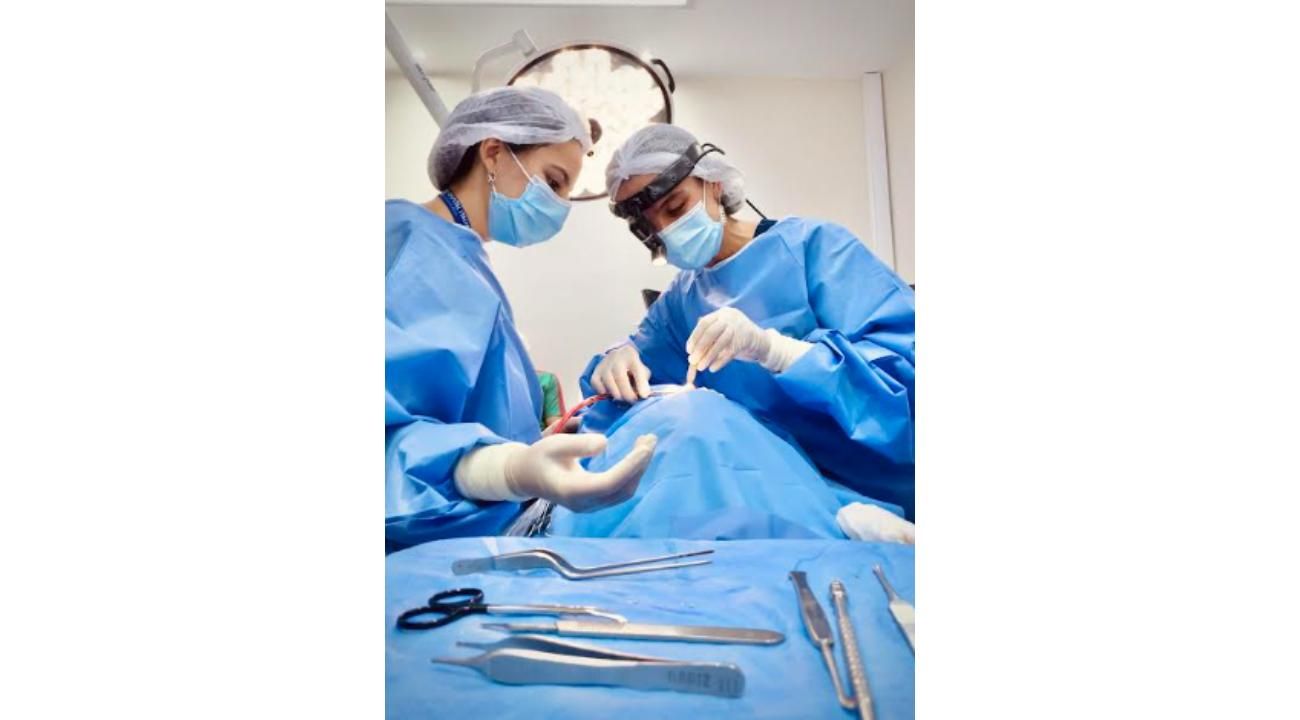 Problemas de gusto y olfato: la importancia en la calidad de la atención