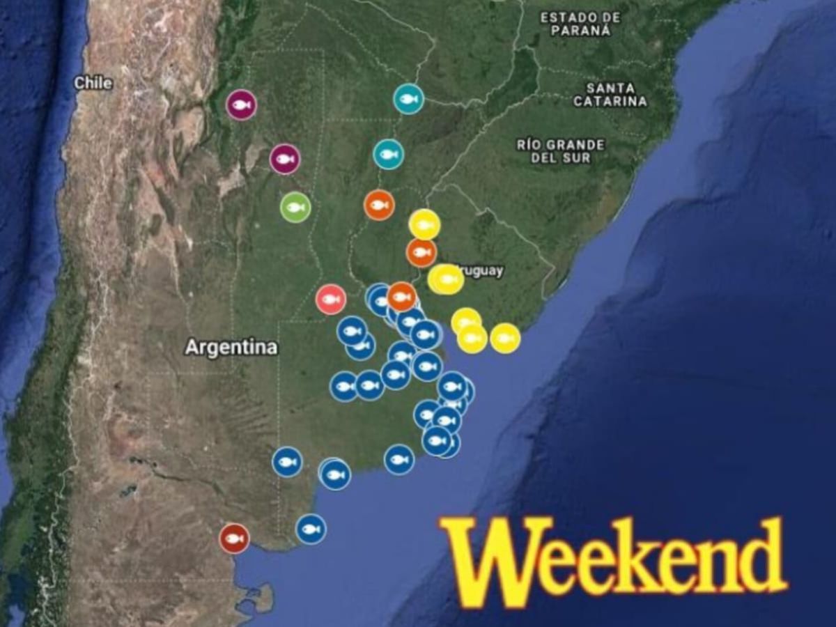Pique: ¿Dónde pescar este fin de semana?
