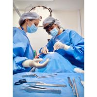 Problemas de gusto y olfato: la importancia en la calidad de la atención