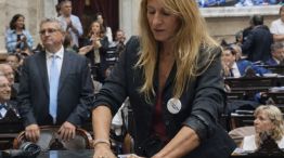 La diputada kirchnerista Florencia Carignano desconecta los enchufes de legisladores de La Libertad Avanza