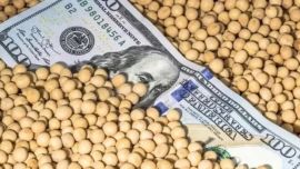 Fuertes subas de precios de soja, maíz y trigo tras el anuncio de compras de China a Estados Unidos