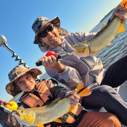 Hay ejemplares de todos los tamaños; entre muchos dorados chicos aparecen medianos y también grandes en buena cantidad. 