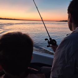 Hay ejemplares de todos los tamaños; entre muchos dorados chicos aparecen medianos y también grandes en buena cantidad. 