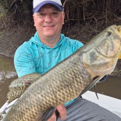 Hay ejemplares de todos los tamaños; entre muchos dorados chicos aparecen medianos y también grandes en buena cantidad. 