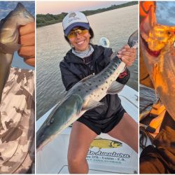 Hay ejemplares de todos los tamaños; entre muchos dorados chicos aparecen medianos y también grandes en buena cantidad. 