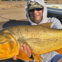 Hay ejemplares de todos los tamaños; entre muchos dorados chicos aparecen medianos y también grandes en buena cantidad. 