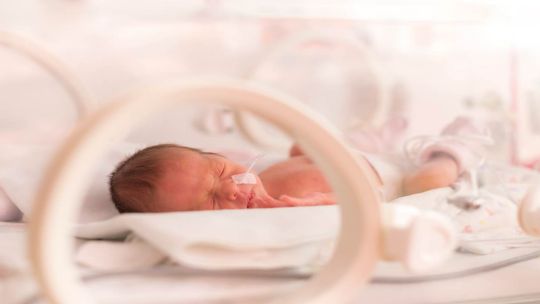 Bebés internados solos en Córdoba: quiénes son las mujeres que los abrazan cuando nadie puede acompañarlos