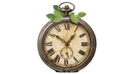 22_02_2026_anticuario_reloj_pablotemes_g