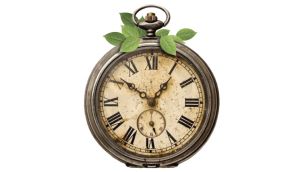 22_02_2026_anticuario_reloj_pablotemes_g