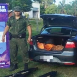 Parte del botín secuestrado.