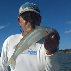 En Las Barrancas, los mejores resultados llegan cuando sopla el viento. El movimiento del agua incrementa el oxígeno y el pejerrey —el “flecha”— sube a comer más decidido. 