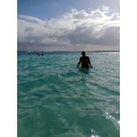 ¿Buscando el Caribe perfecto? Descubrí por qué las Islas más elegidas del 2026