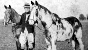 Gato y Mancha  los caballos criollos que unieron Buenos Aires con Nueva York 20260224