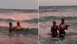 Monte Hermoso: sacaron un pingüino del mar, sólo para tomarse fotografías