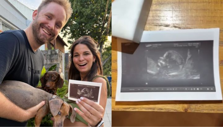 Luly Illbele anunció en pleno vivo de Telefe que está embarazada: "Se agranda la familia"