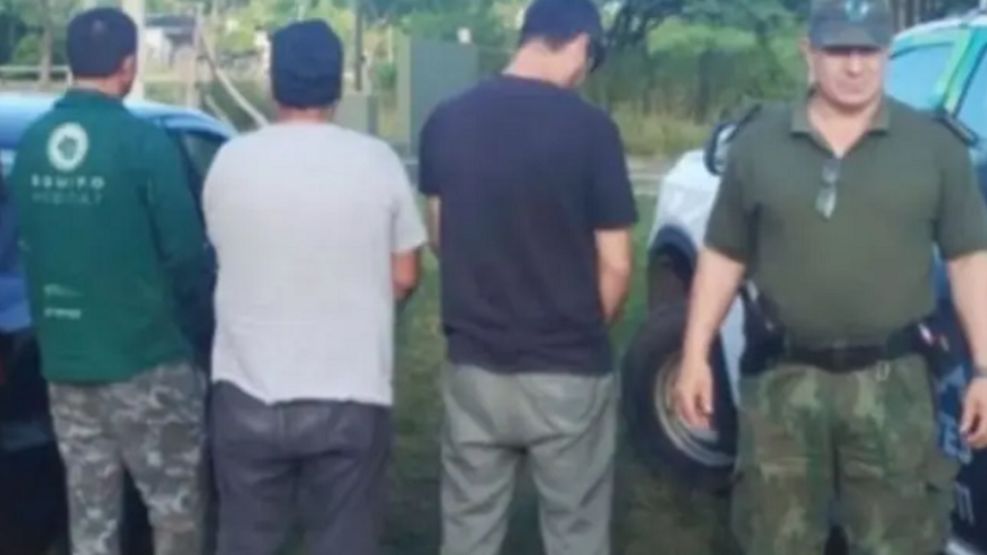 2402_cazadores furtivos