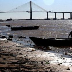 El conflicto por los espineles no solo tiene implicancias ambientales, sino también económicas. El desarrollo del turismo de pesca depende de la disponibilidad de ejemplares de buen tamaño y de una experiencia sin interferencias.